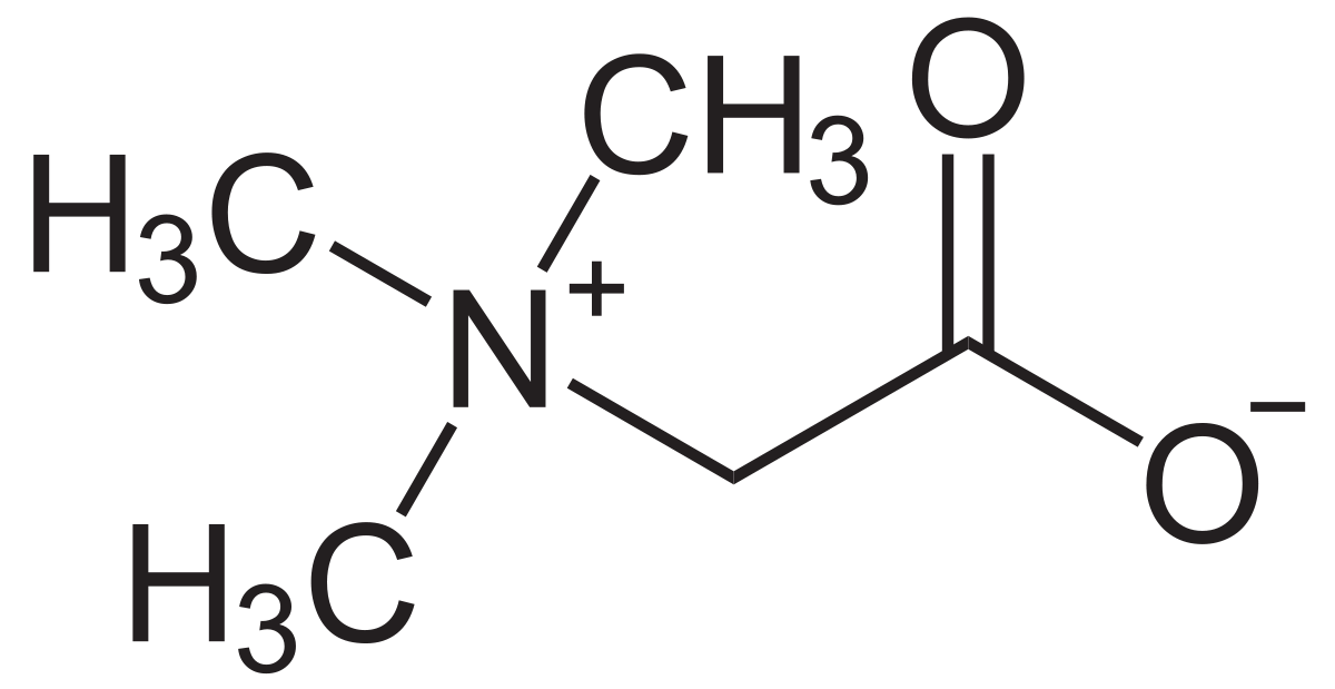 TMG (TriMethylGlycine)