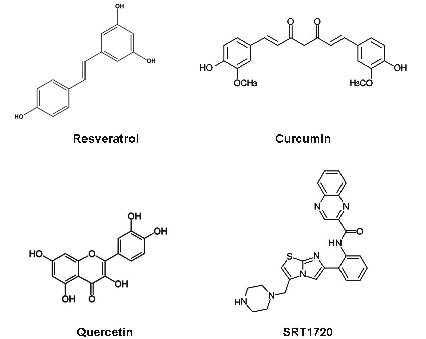 Sirtuin 6 activator