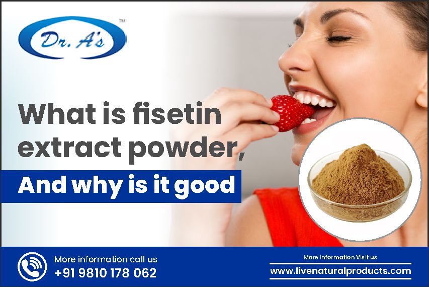 What is fisetin extract powder, and why is it good
