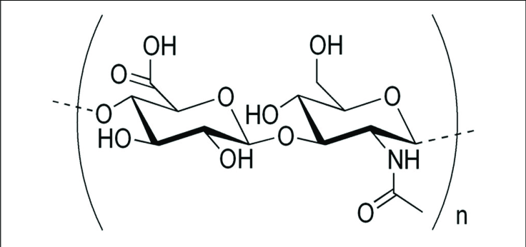 Hyaluronic Acid