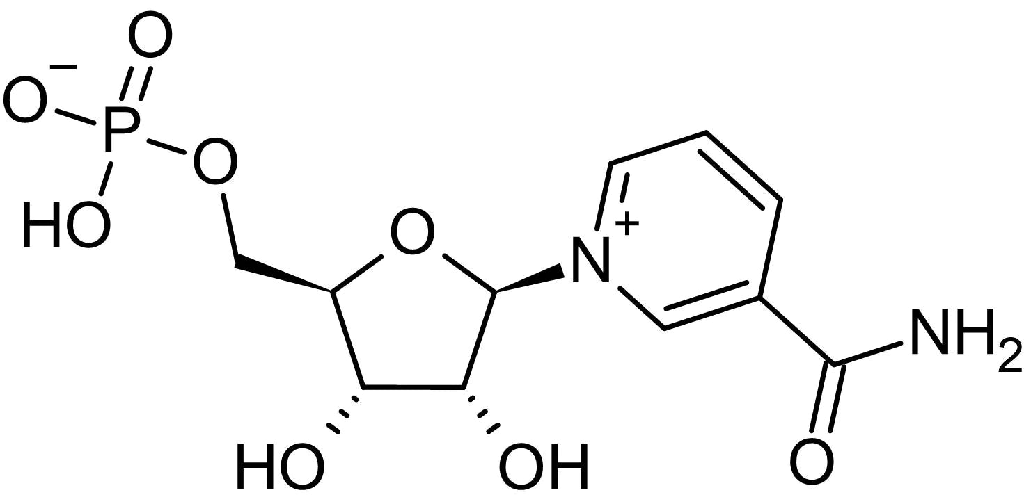 NMN Nicotinamide Mono Nucleotide 2